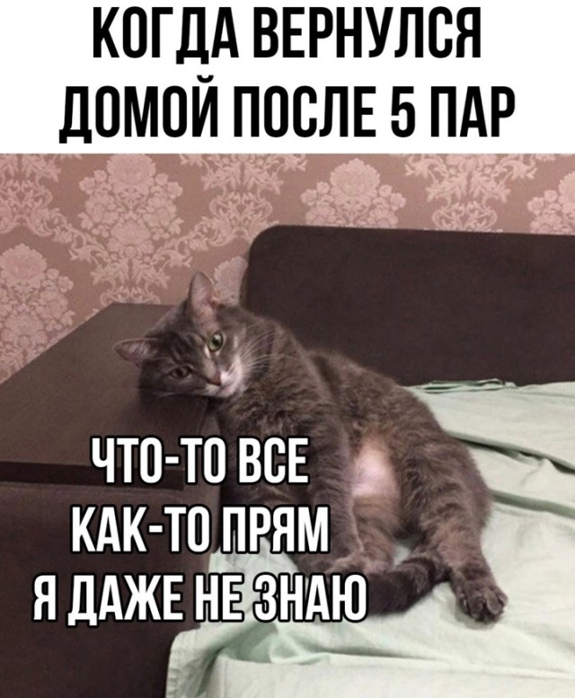 Весёлый полтишок 02.07.24