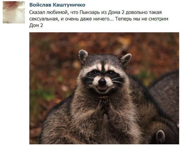 Находчивый парень