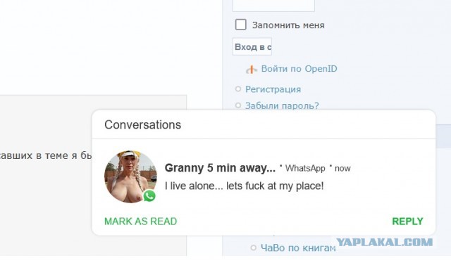 Онлайн-библиотека «Флибуста» продолжит работу