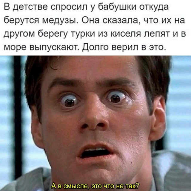Весёлый полтишок 25.12.24