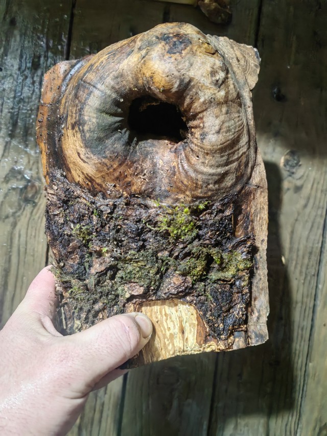 "Если долго вглядываться во тьму,то тьма начинает вглядываться в тебя"