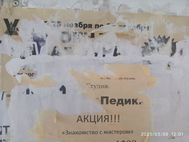 Так себе картинки 09.03.25