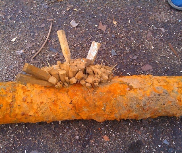 В сети выложили первые в мире леггинсы с жепольте на причинном месте