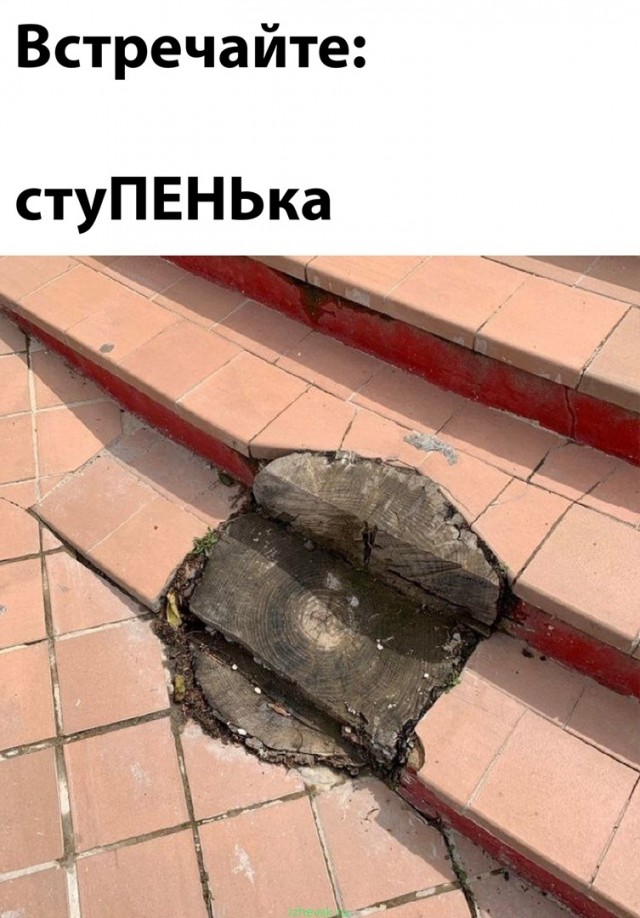 Игра слов — это словесный вираж в смешных каламбурах