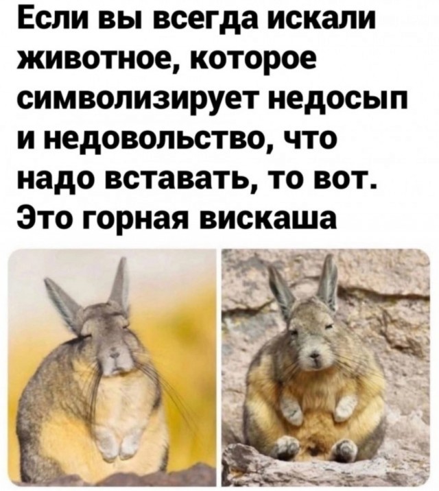 Так себе картинки 09.07.25