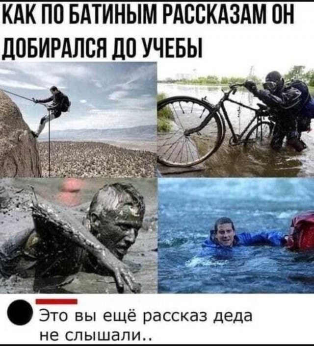 Картинки для деградации-4 (разной степени свежести)