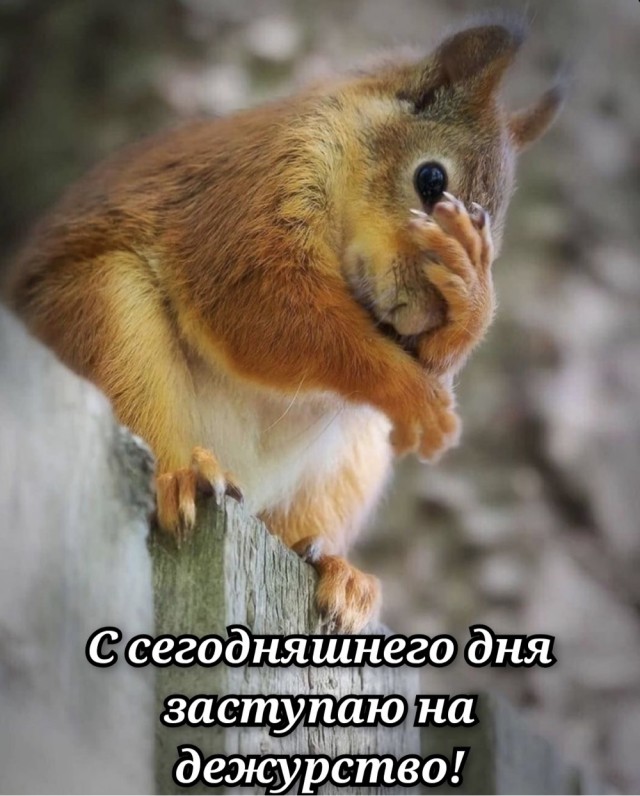 Среды картинки