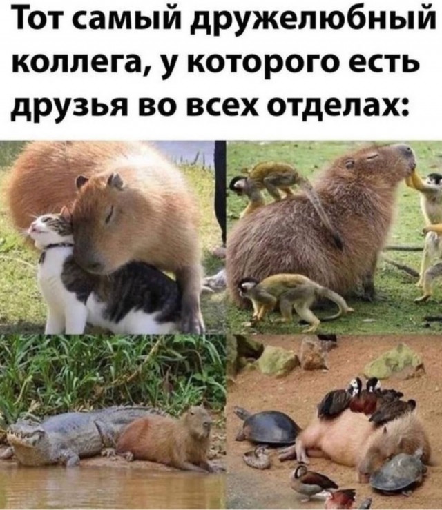 Воскресные картинки