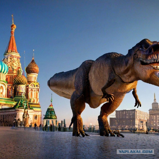 Щуры вернулись в Москву спустя сто лет.