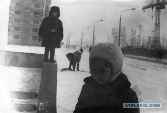 «Когда деревья были большими»