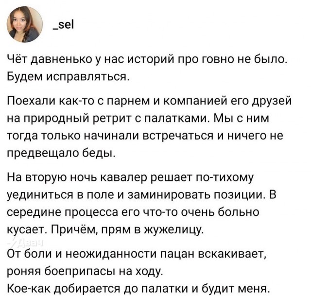 Именно ради таких историй вы и платите за интернет