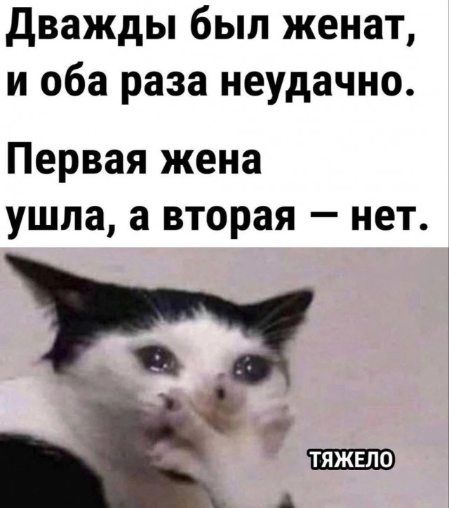 Картинки для деградации 247 (разной степени свежести)