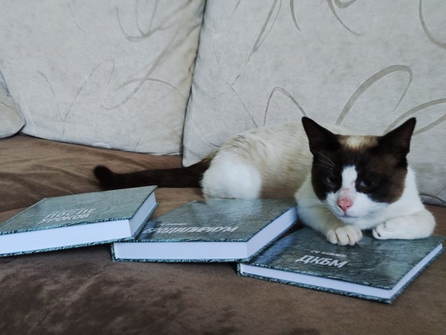 Книга ПОВЕСТИ