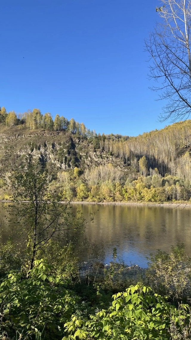 Все краски осени
