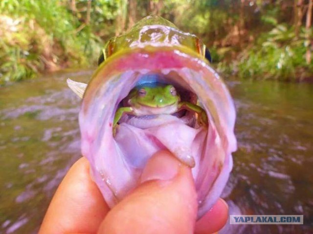 Подборка прикольных фото на начало мая