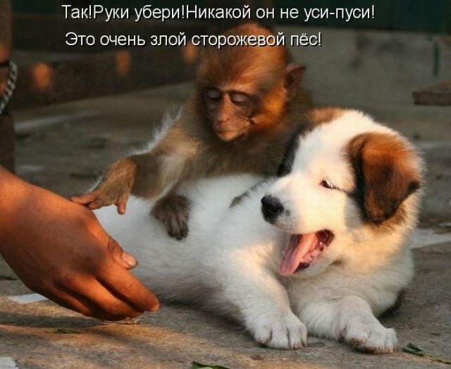 Немного позитива на пятницу