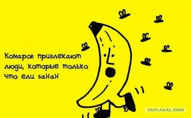 Забавные минифакты в картинках