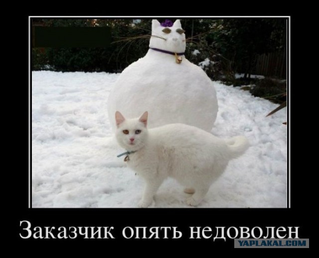 Подборка смешных картинок :)