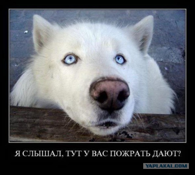 Немного позитива на пятницу