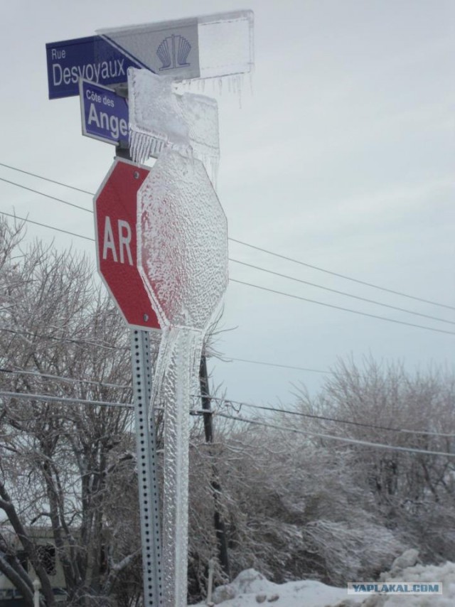 Зима, такая зима