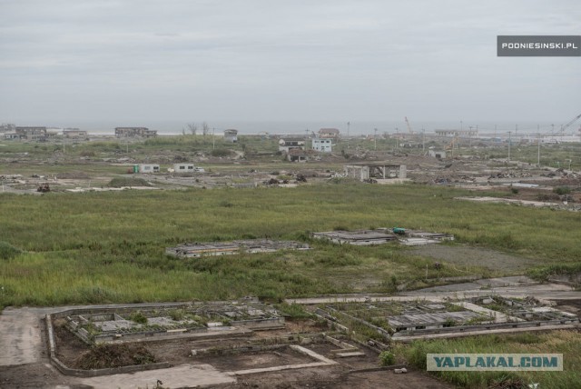 Руины Фукусимы и заросли