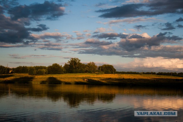 Я узнал, что у меня есть огромная семья