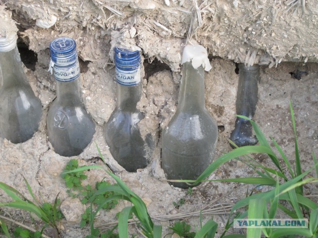 15 живописных украинских домов-мазанок, которые простояли по 100-300 лет