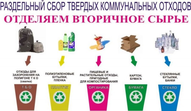 "В Петербурге за деньги стали принимать использованные пластиковые бутылки"