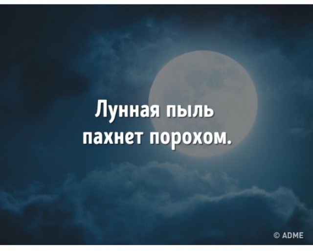 25 интересных фактов, о которых вы точно не слышали