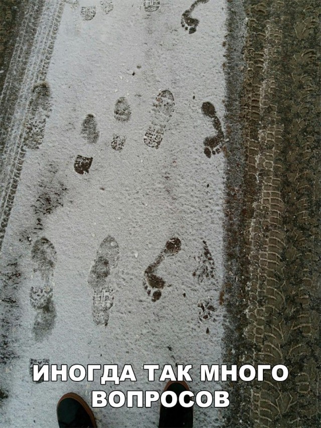 Нестандартный юмор