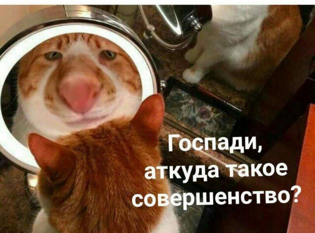 Итоги проверки пользователей