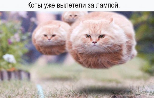 Сегодня я мог взять взятку