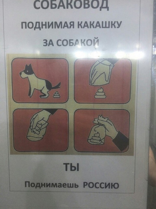 Сборная солянка из смешных картинок на субботу
