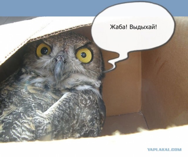 "Нелегал"
