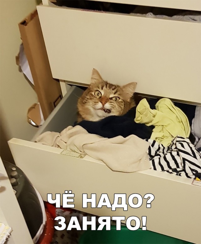 Нестандартный юмор
