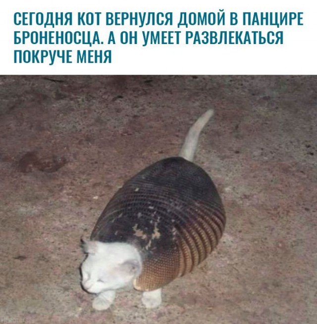Немного картинок на вечер