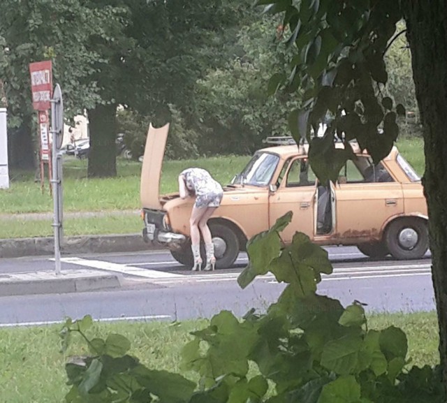 Выловлено в наших сетях