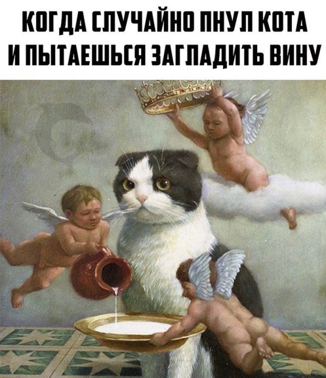 Подборка интересных и веселых картинок 26.11.18