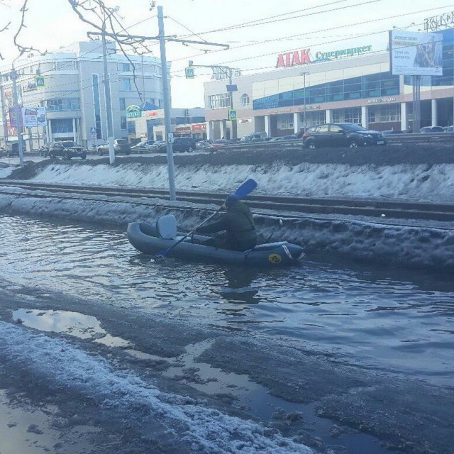 Скотсети и прочие интернеты 11.03.19