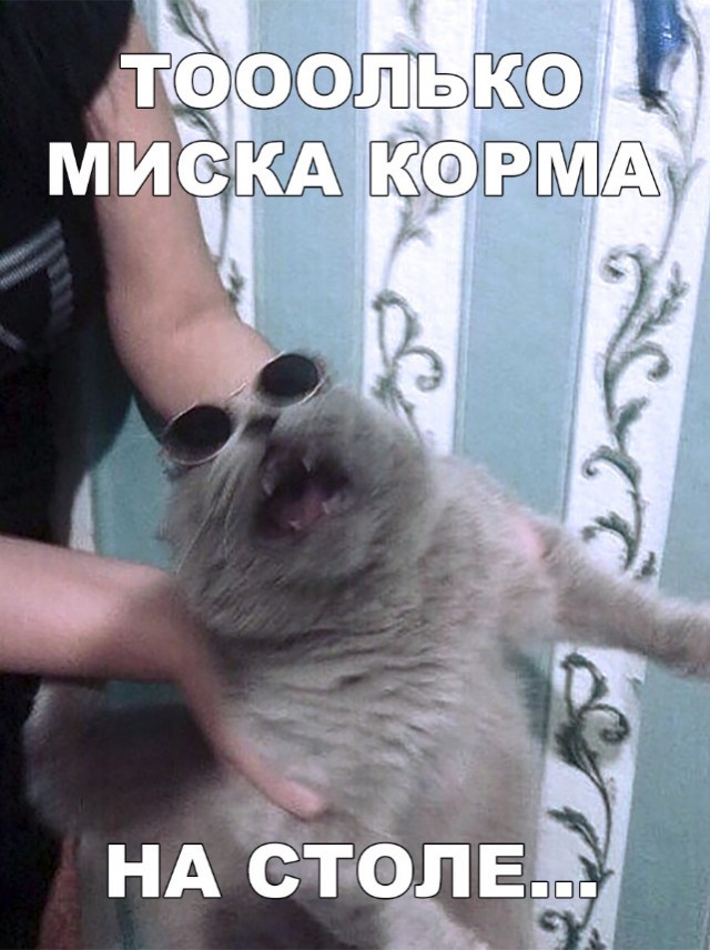 Нестандартный юмор