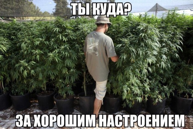 Картинки с надписями, истории и анекдоты 27.08.19