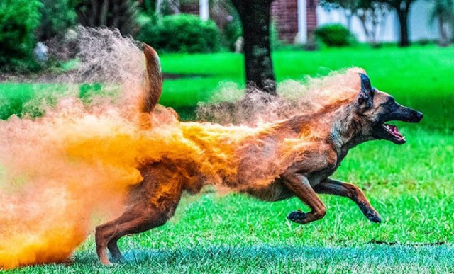 Не фотошоп, но это не точно