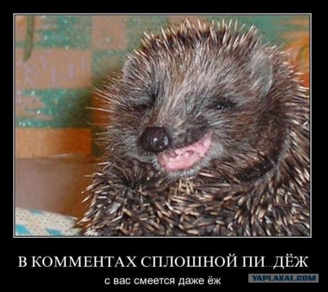 Реклама должна умереть?