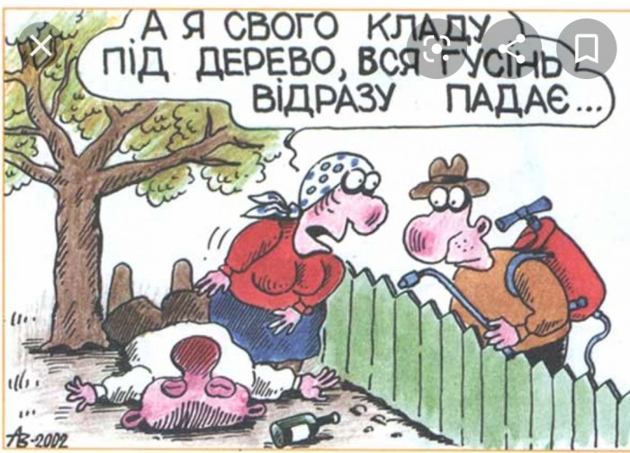 Вот такой вот Виталик