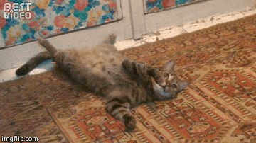 Ретировался