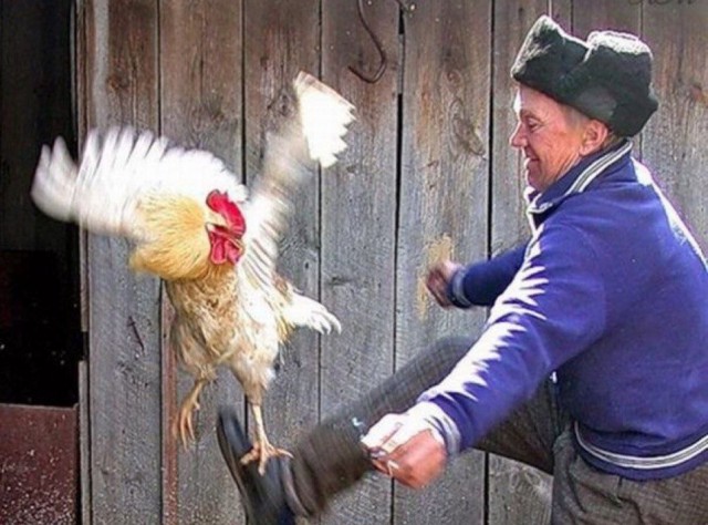 Вот и поговорили