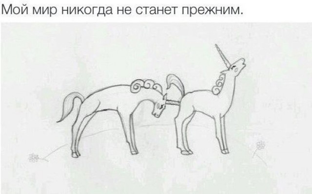 Дурацкие картинки