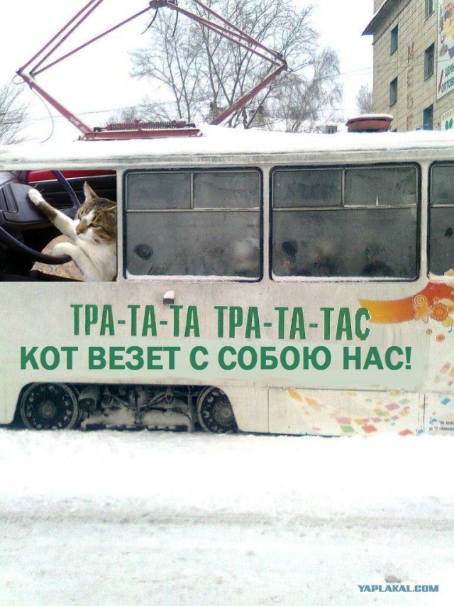 Нарко-трамвай
