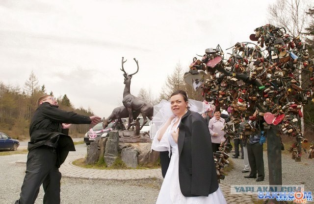 Фор фотожаба