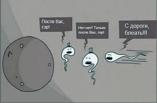 Забавные пошлости